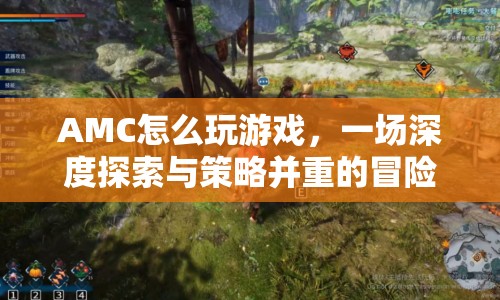 AMC，深度探索與策略并重的冒險(xiǎn)之旅