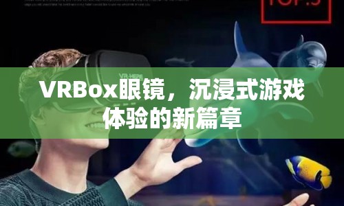 VRBox眼鏡，開(kāi)啟沉浸式游戲體驗(yàn)新篇章