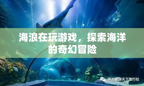 探索海洋的奇幻冒險，海浪的奇妙游戲