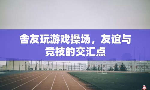 操場(chǎng)上的游戲，友誼與競(jìng)技的交匯點(diǎn)