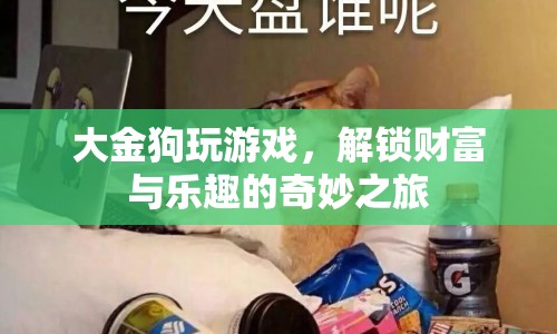 大金狗解鎖財(cái)富與樂(lè)趣的奇妙游戲之旅