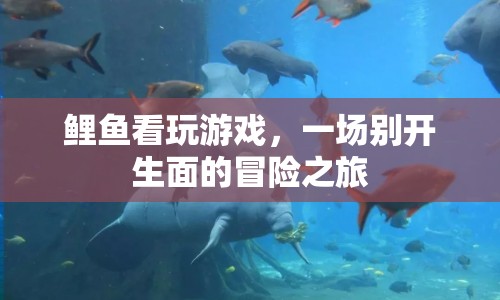 鯉魚(yú)看玩游戲，一場(chǎng)別開(kāi)生面的冒險(xiǎn)之旅