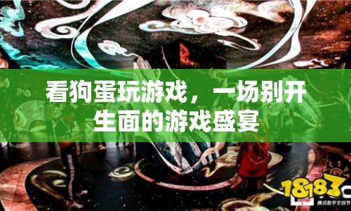 狗蛋游戲盛宴，精彩紛呈的娛樂盛宴