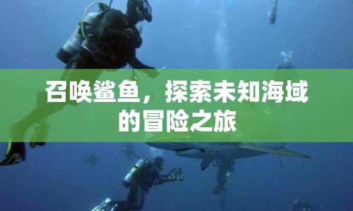 探索未知海域，召喚鯊魚，開啟驚險(xiǎn)冒險(xiǎn)之旅