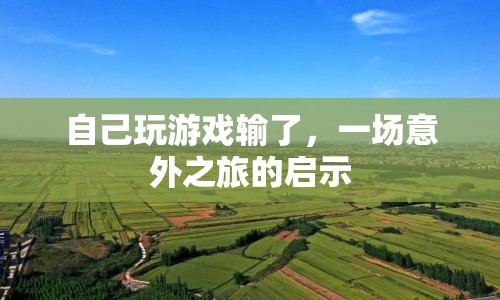 一場意外之旅的啟示，游戲輸?shù)舻牟粌H是勝負(fù)