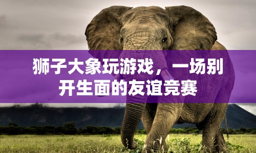 獅子大象友誼競賽，一場別開生面的游戲盛宴