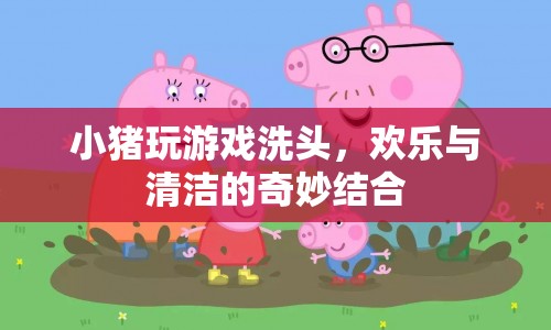 小豬游戲洗頭，歡樂與清潔的奇妙結(jié)合