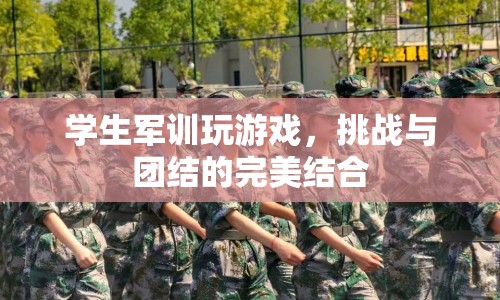 軍訓(xùn)游戲，挑戰(zhàn)與團(tuán)結(jié)的碰撞