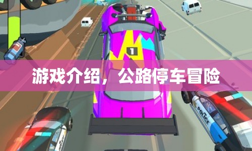 公路停車冒險(xiǎn)，驚險(xiǎn)刺激的駕駛挑戰(zhàn)