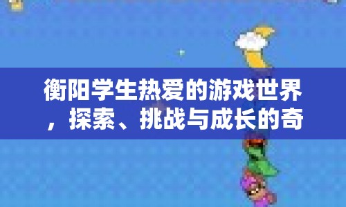 衡陽學(xué)生游戲世界，探索、挑戰(zhàn)與成長的奇妙之旅