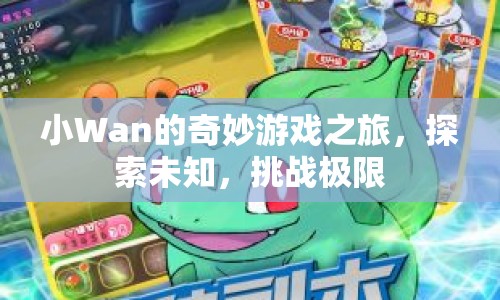 小Wan的奇妙冒險，探索未知，挑戰(zhàn)極限