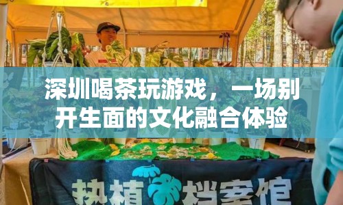 深圳，喝茶玩游戲，文化融合新體驗(yàn)