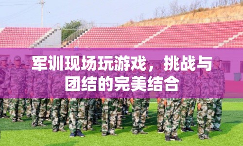 軍訓游戲，挑戰(zhàn)與團結的完美碰撞