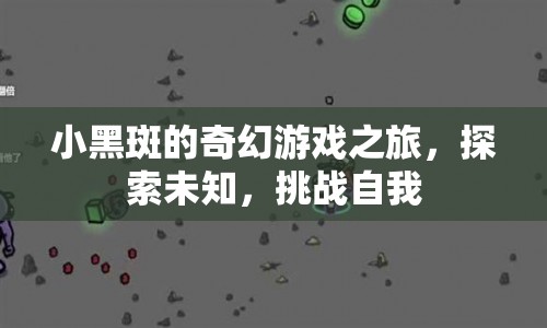 小黑斑的奇幻冒險，探索未知，挑戰(zhàn)自我