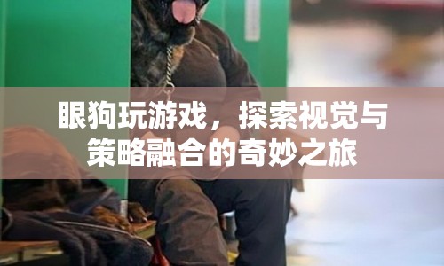 眼狗，探索視覺與策略融合的奇妙之旅  第1張