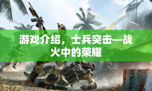 戰(zhàn)火中的榮耀，士兵突擊游戲介紹