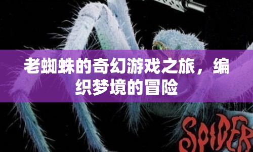 老蜘蛛編織夢(mèng)境的奇幻冒險(xiǎn)之旅  第1張