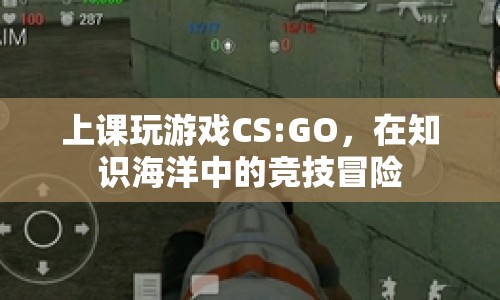 知識(shí)海洋中的競(jìng)技冒險(xiǎn)，上課玩CS:GO