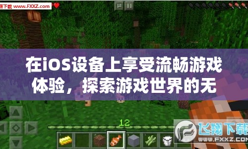 在iOS設備上探索游戲世界的無限可能