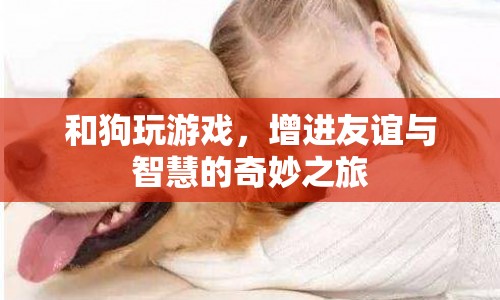 與狗共舞，增進(jìn)友誼與智慧的奇妙之旅