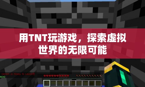 TNT，探索虛擬世界的無限可能