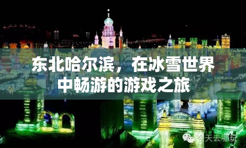 哈爾濱冰雪世界，暢游冬日游戲之旅