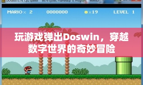 穿越數(shù)字世界的奇妙冒險，Doswin的冒險之旅