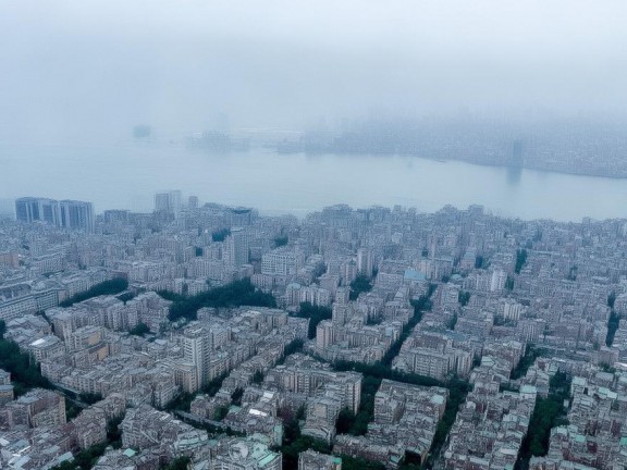 我的世界無攻擊力怪物，和諧共存的冒險(xiǎn)之旅